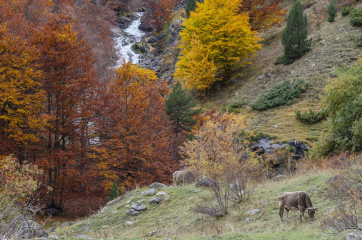 Huesca - valle de Ordiso 09.jpg